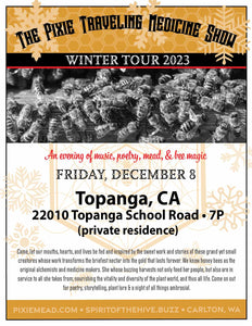 Pixie Traveling Medicine Show with David Bergeaud - Topanga, CA - Dec. 8th 2023 - 7 pm